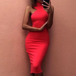 Fitted Neck Dress - Sexy Style Dress